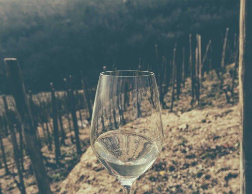 glass of white wine in rhone