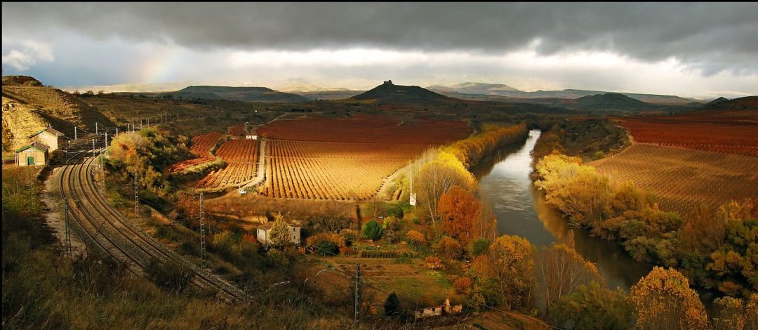 Rioja Vineyards
