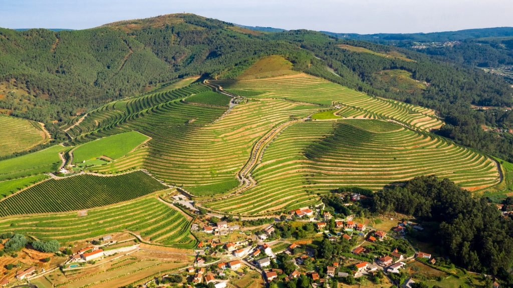 Rías Baixas vineyards O Rosal