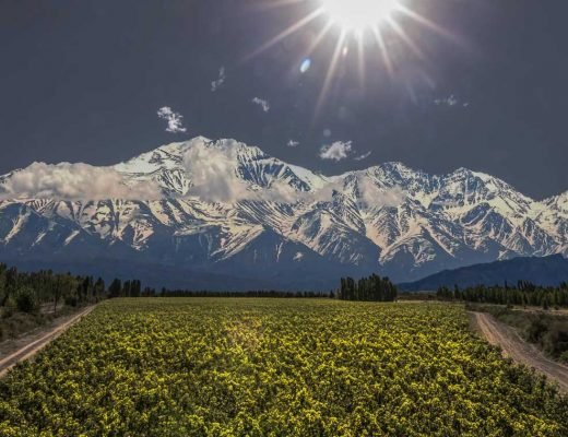 High altitude wines
