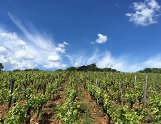 Pouilly-Vinzelles Premier Crus