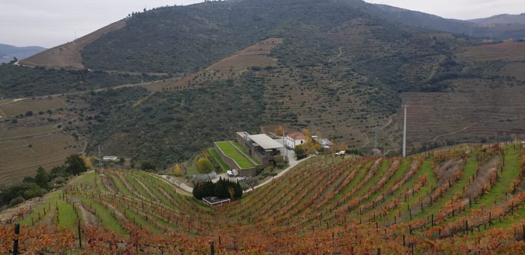 Quinta da Napoles estate in the Douro